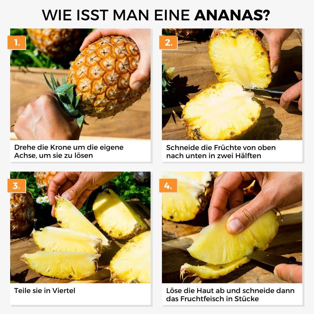 Vorschaubild 8