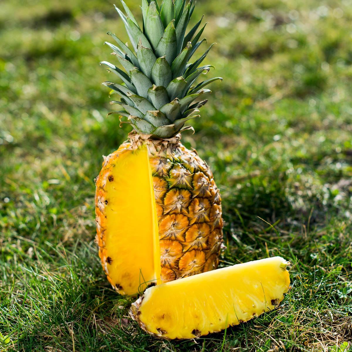 Vorschaubild 4