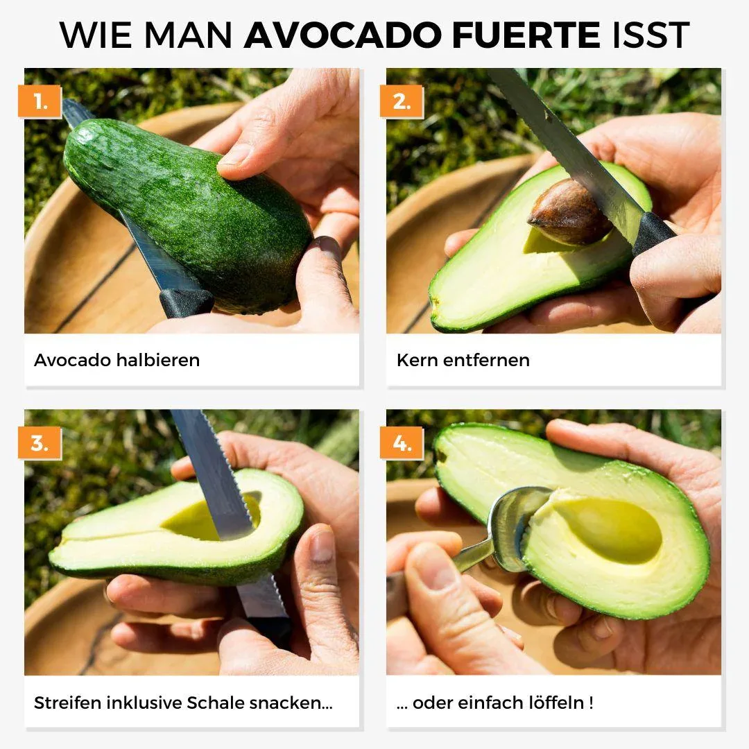 Vorschaubild 5