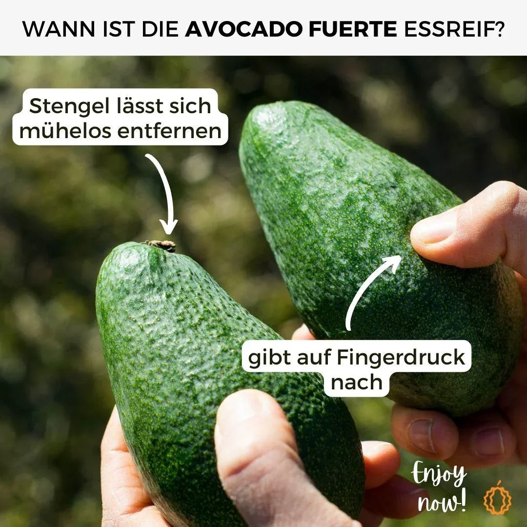 Vorschaubild 8