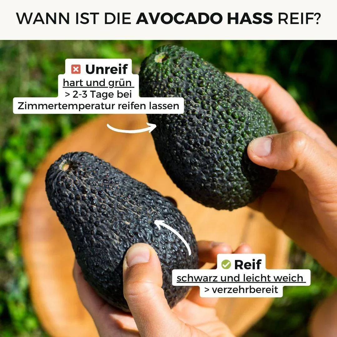 Vorschaubild 4