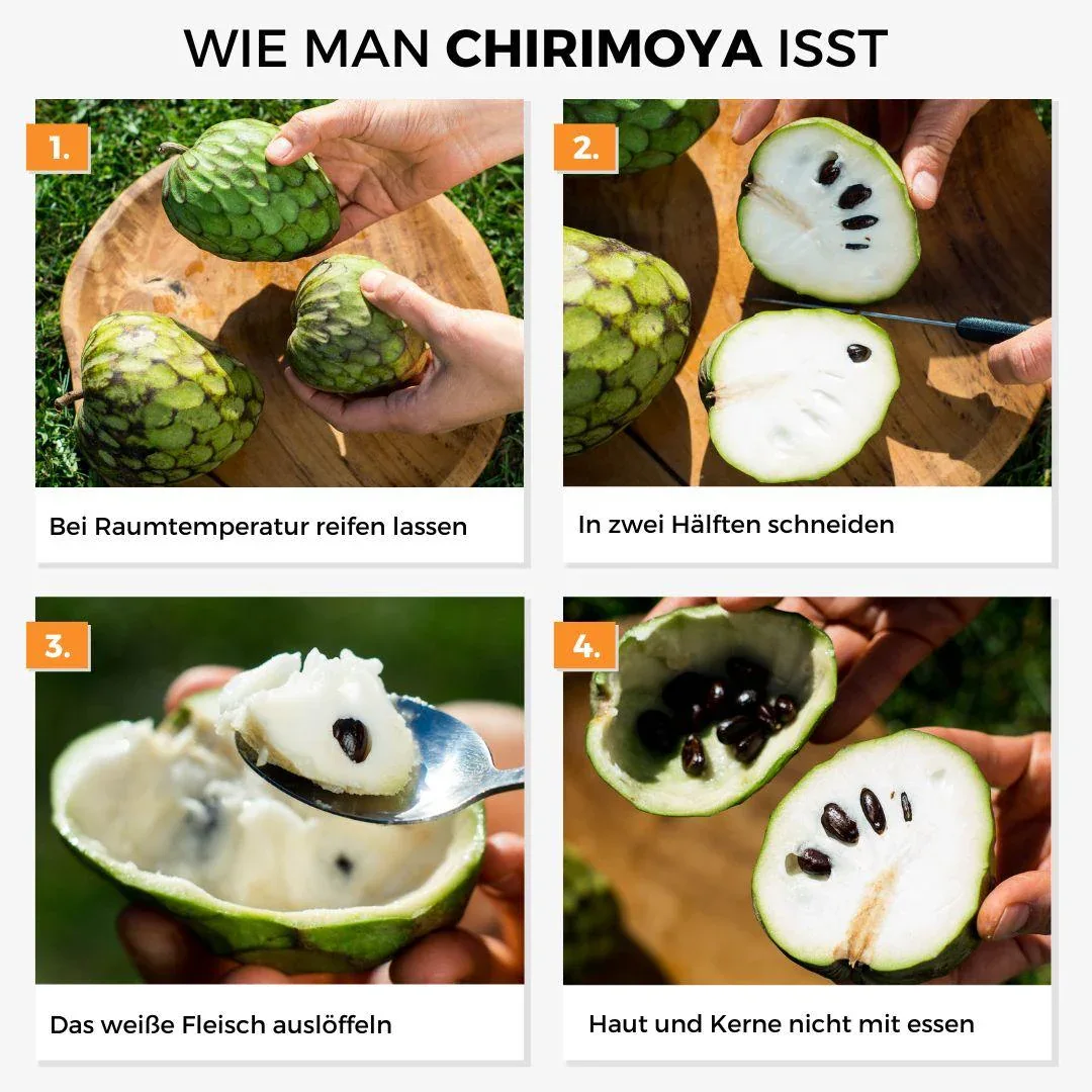 Vorschaubild 8