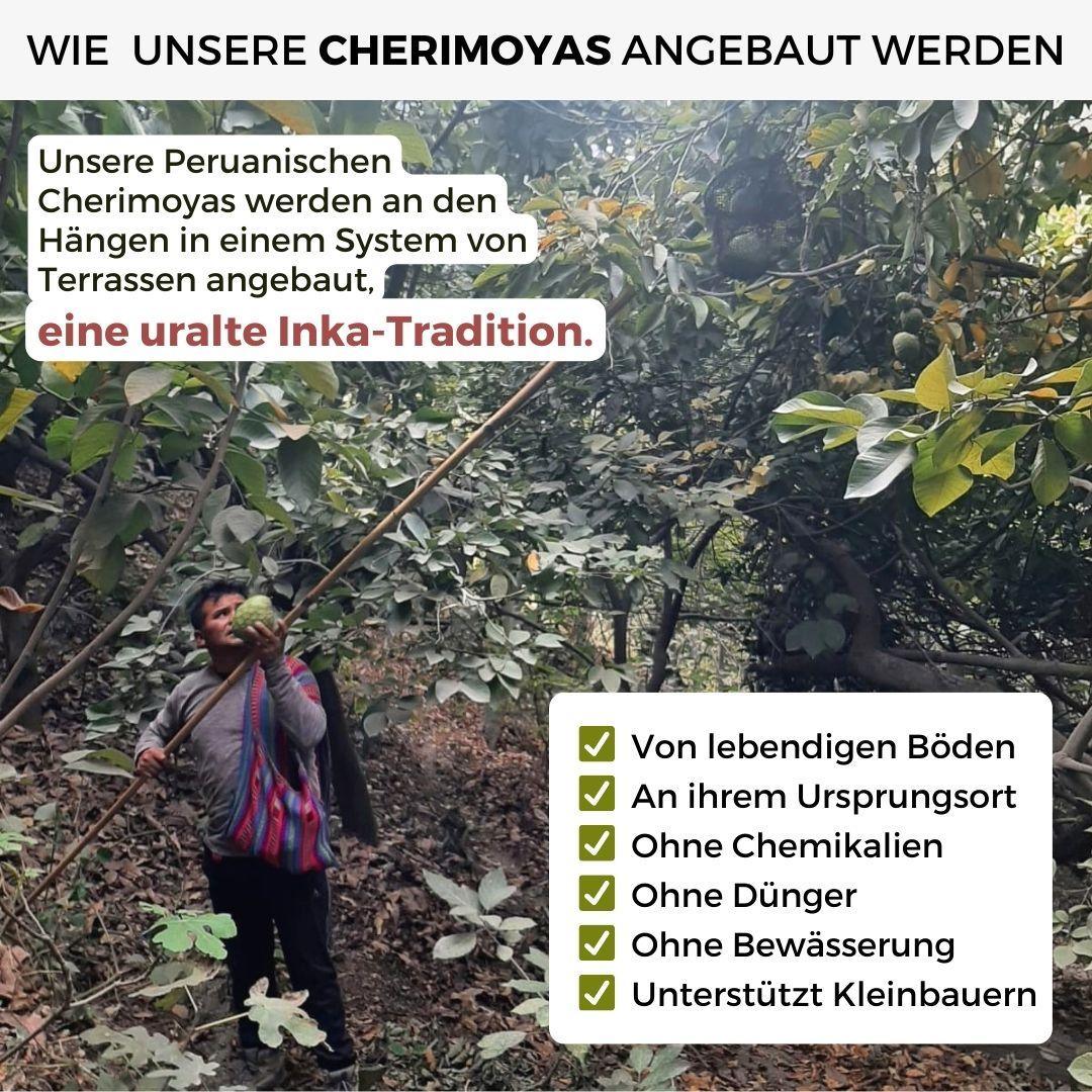 Vorschaubild 10