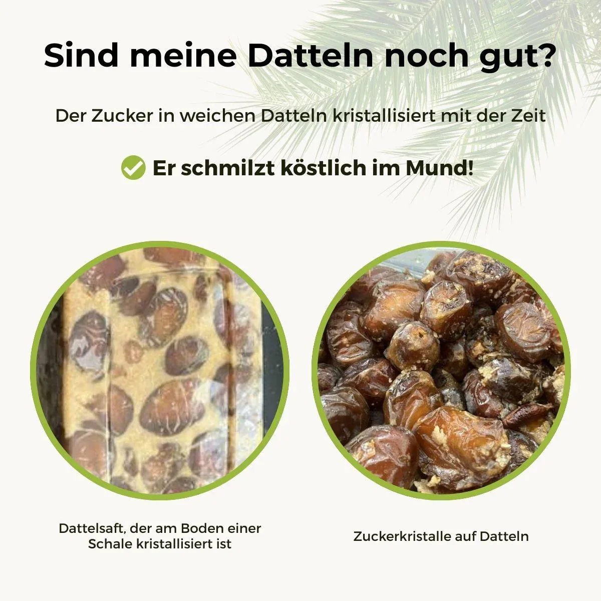 Vorschaubild 9