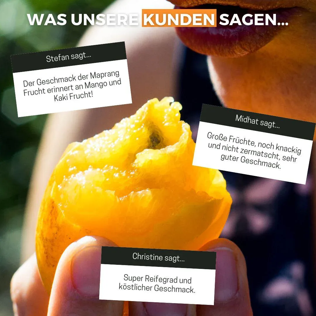 Vorschaubild 5