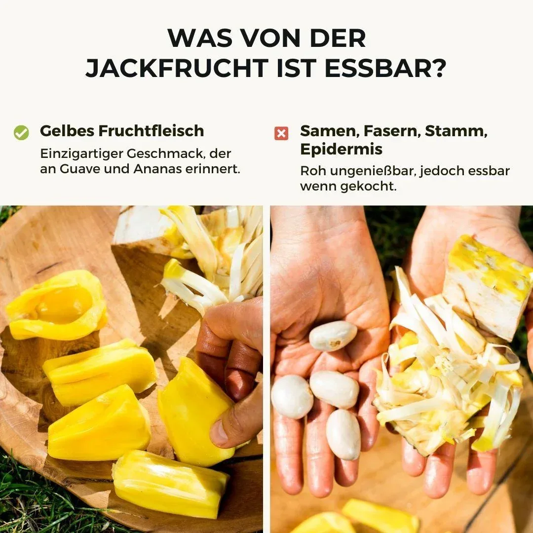 Vorschaubild 9