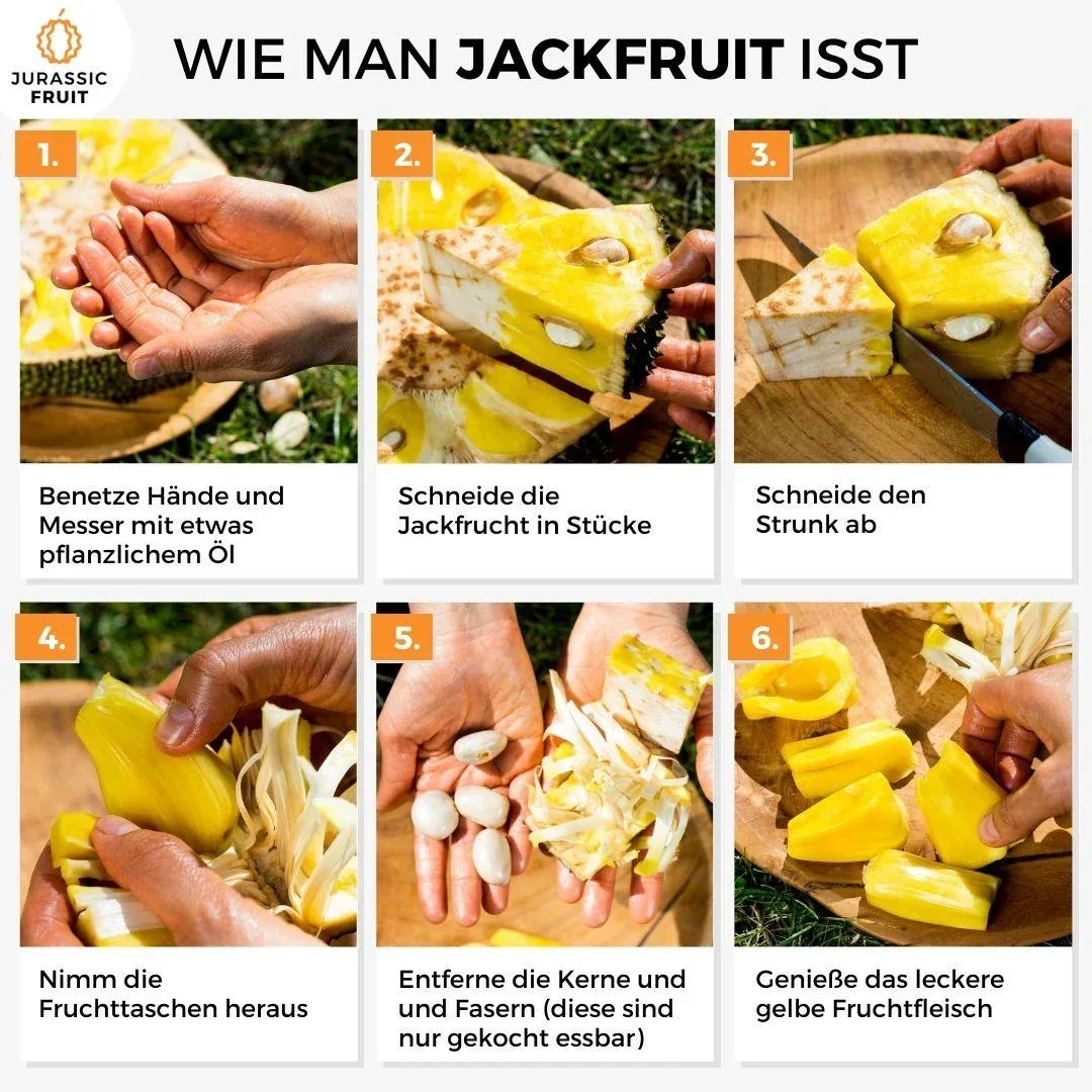 Vorschaubild 8