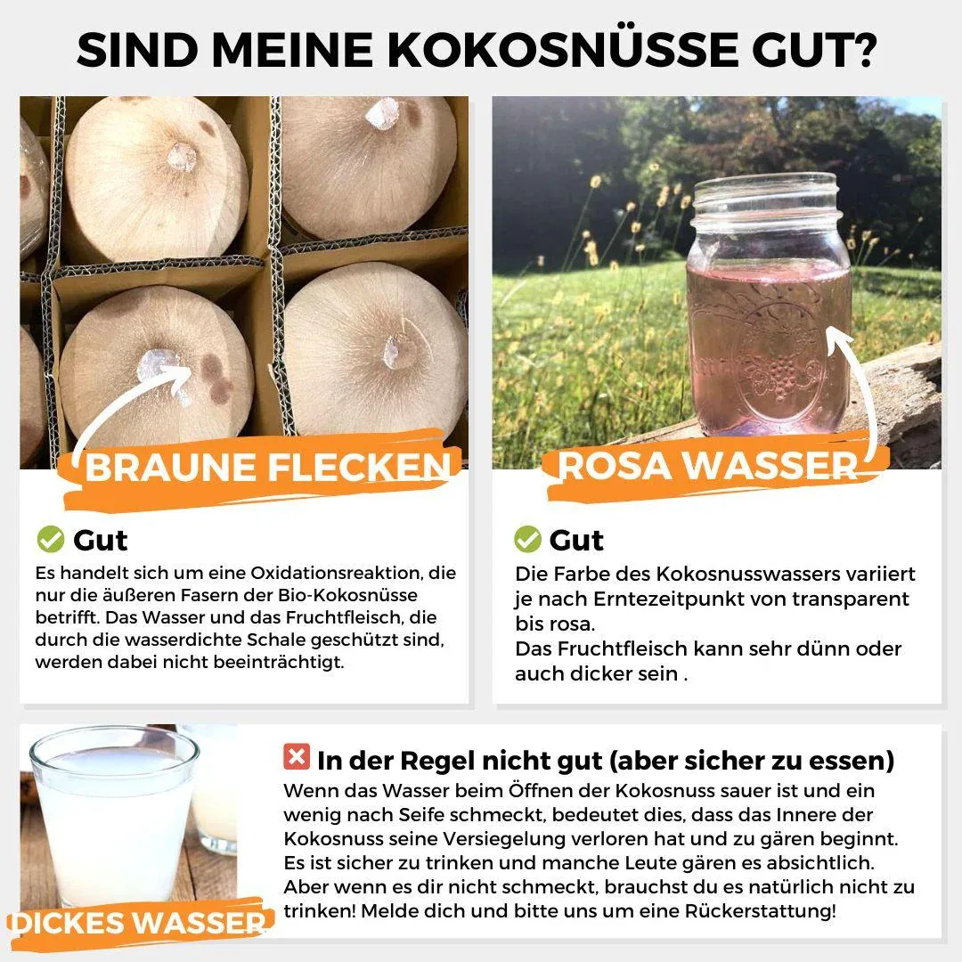 Vorschaubild 13