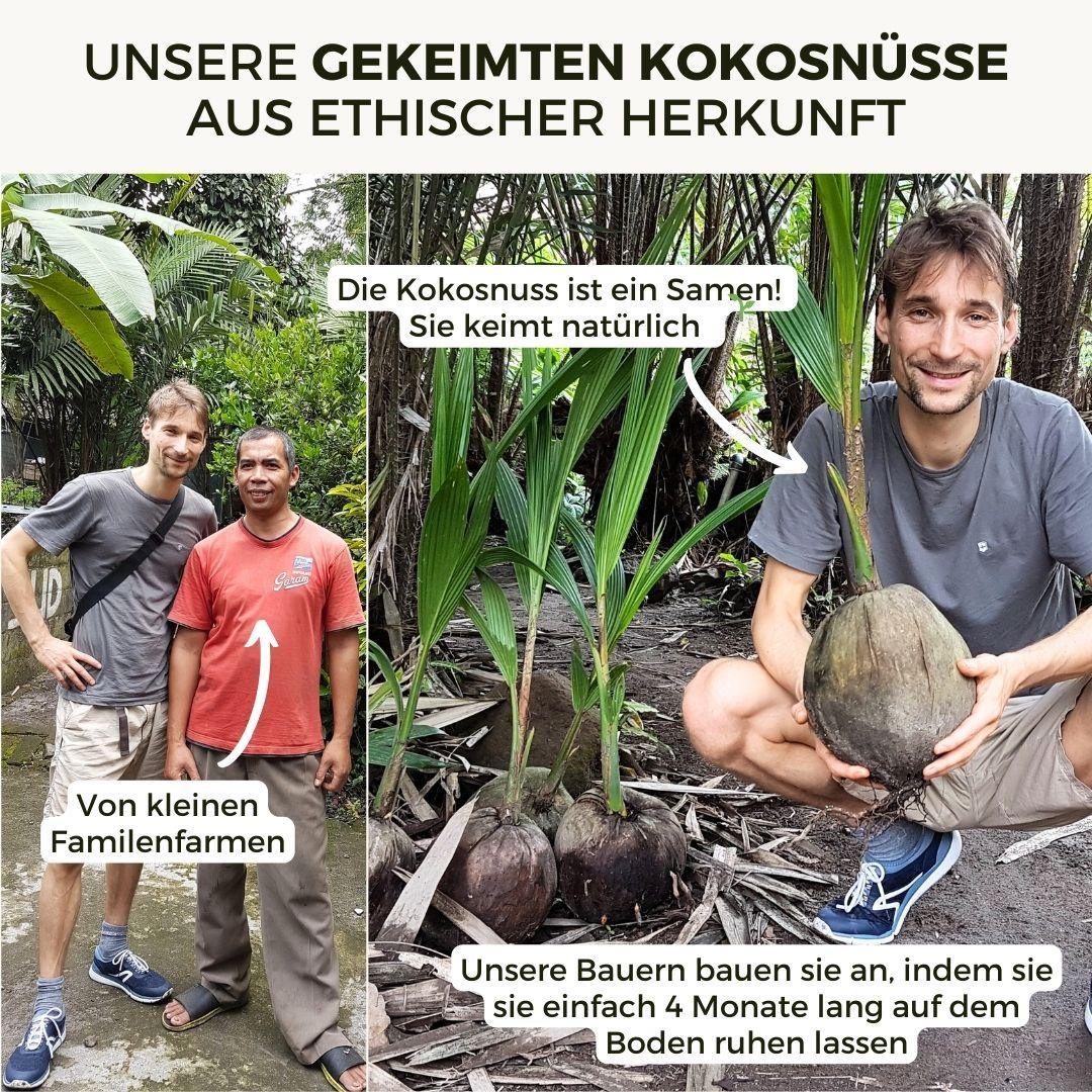 Vorschaubild 5