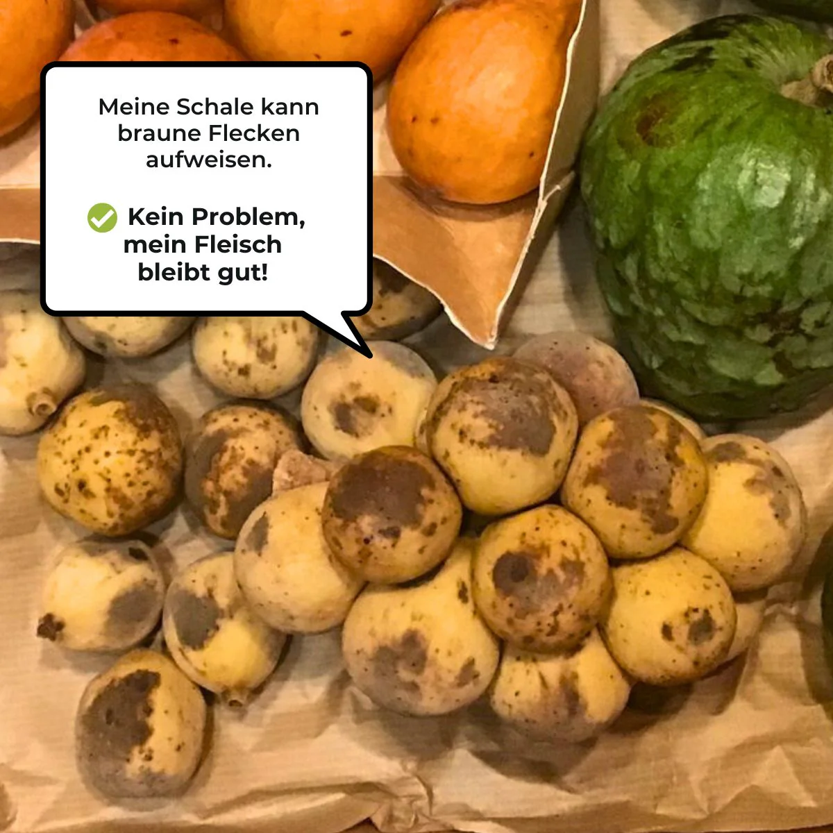 Vorschaubild 5