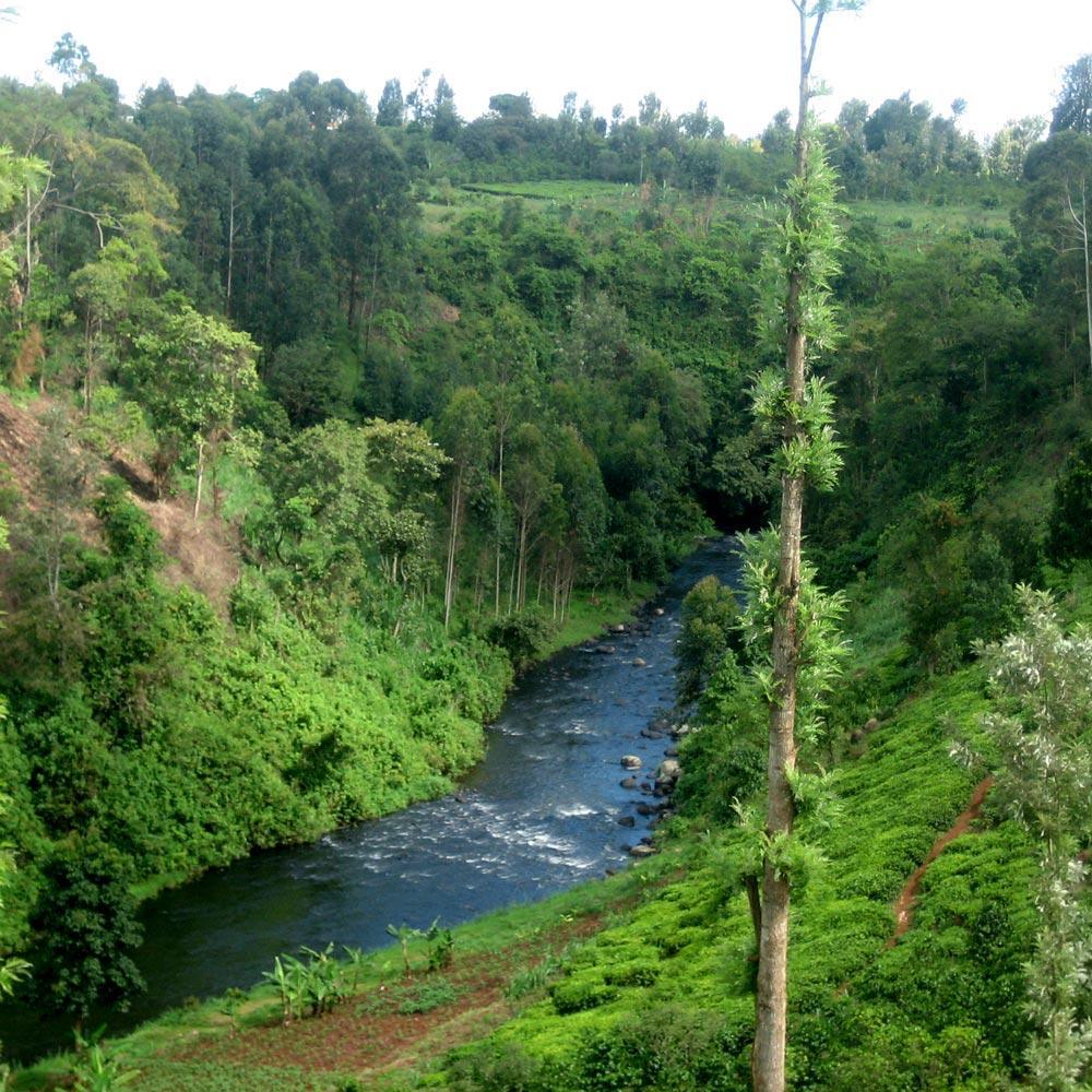 Vorschaubild 8