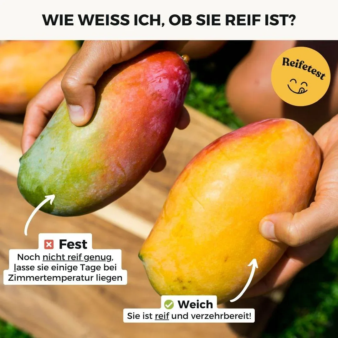 Vorschaubild 4