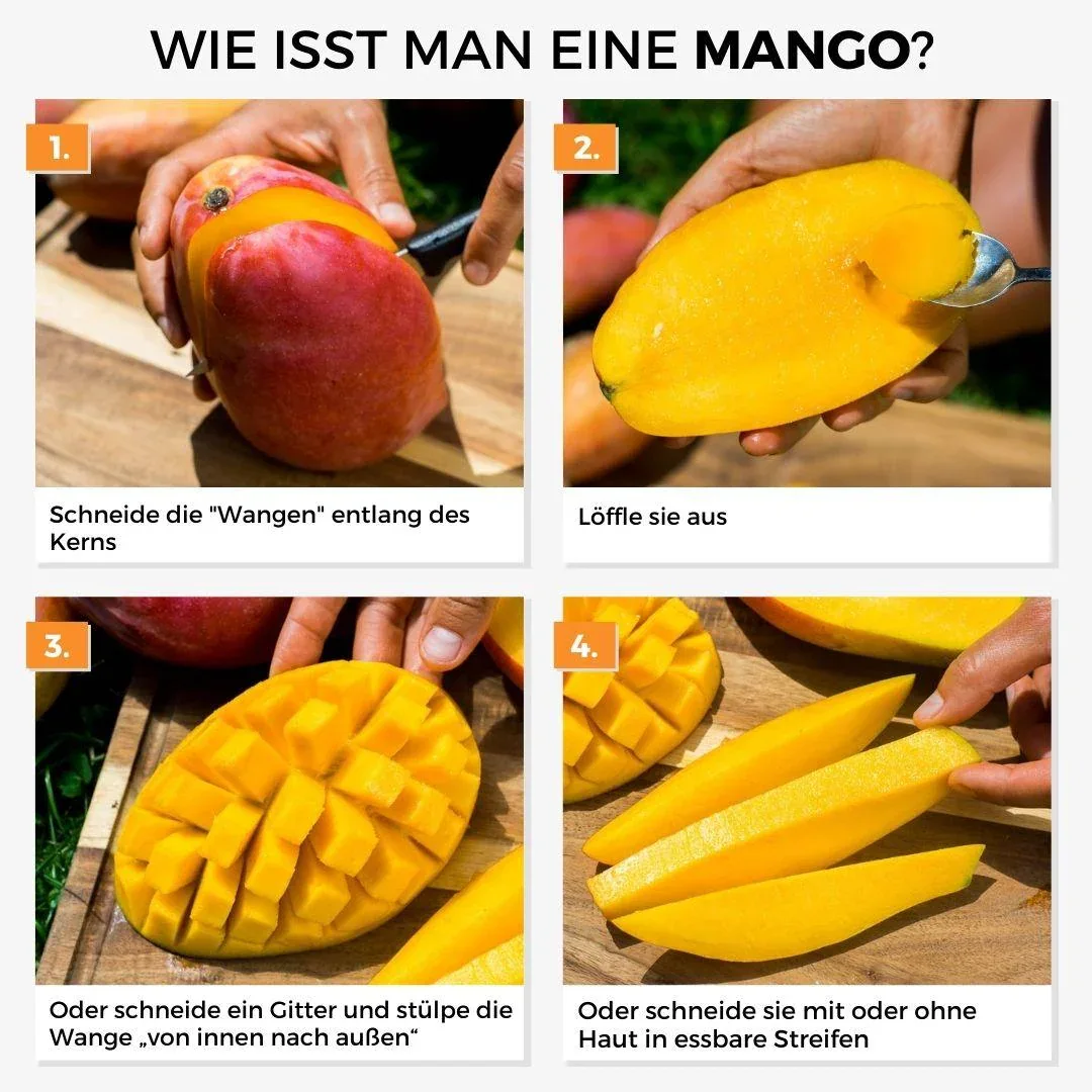 Vorschaubild 5