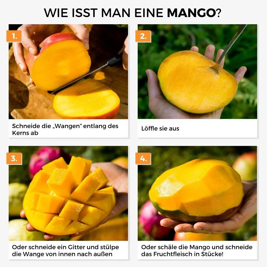 Vorschaubild 8