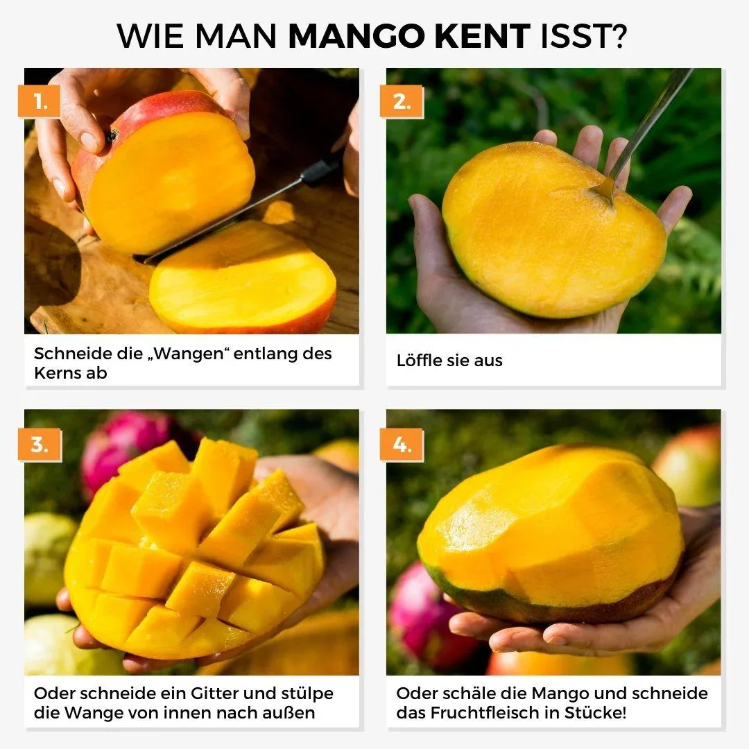 Vorschaubild 10
