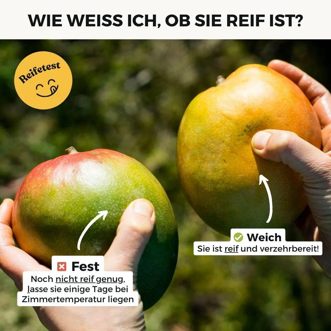 Vorschaubild 11