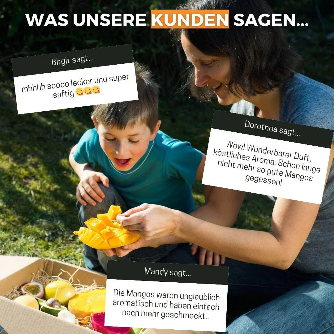 Vorschaubild 12