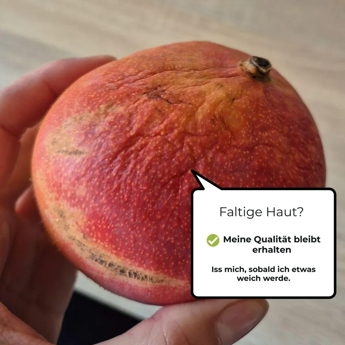 Vorschaubild 13