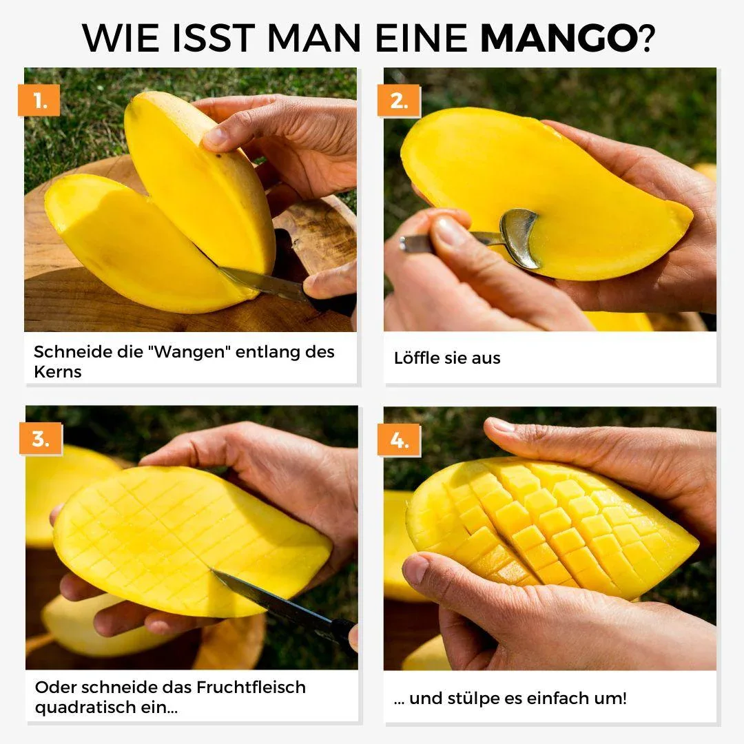 Vorschaubild 6