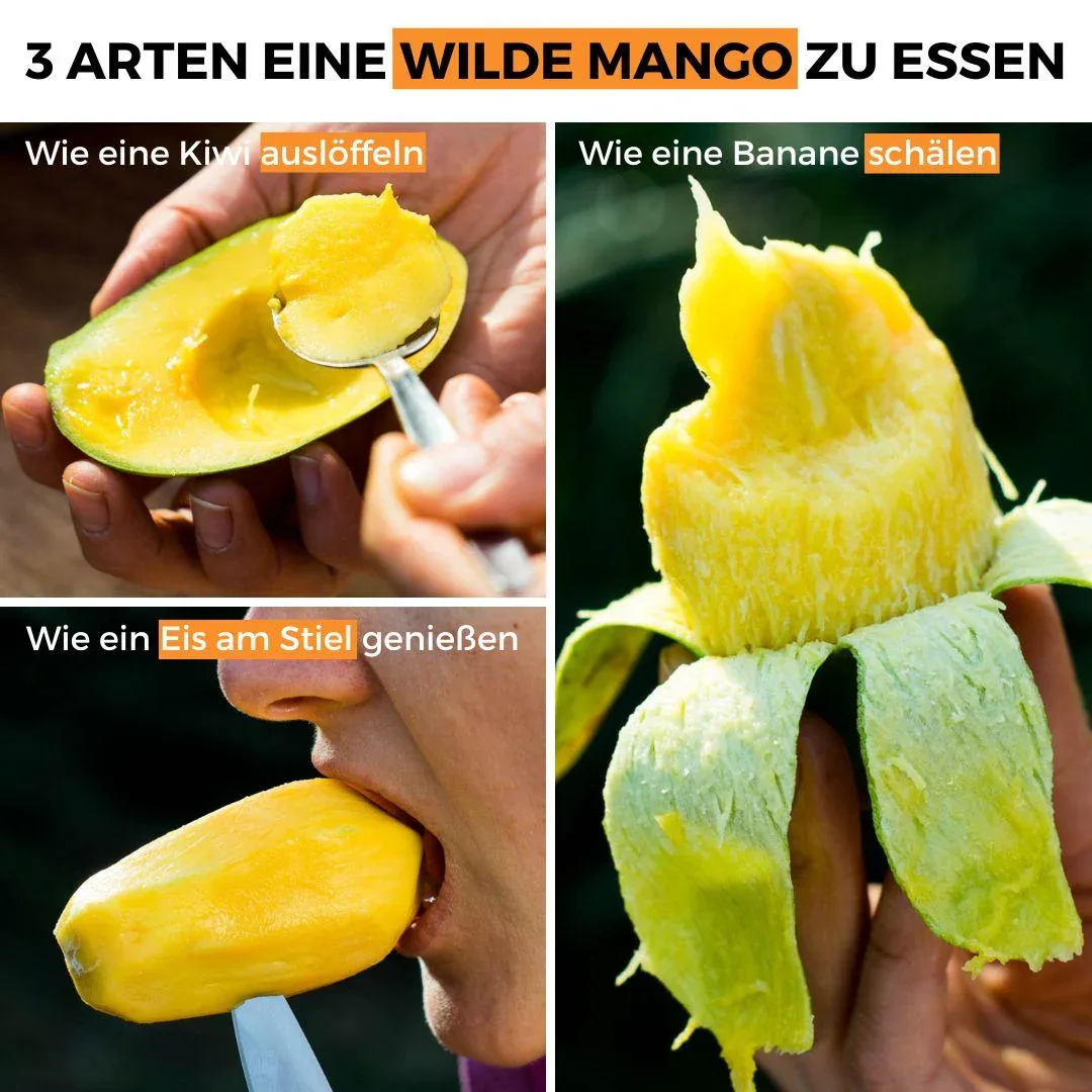 Vorschaubild 7