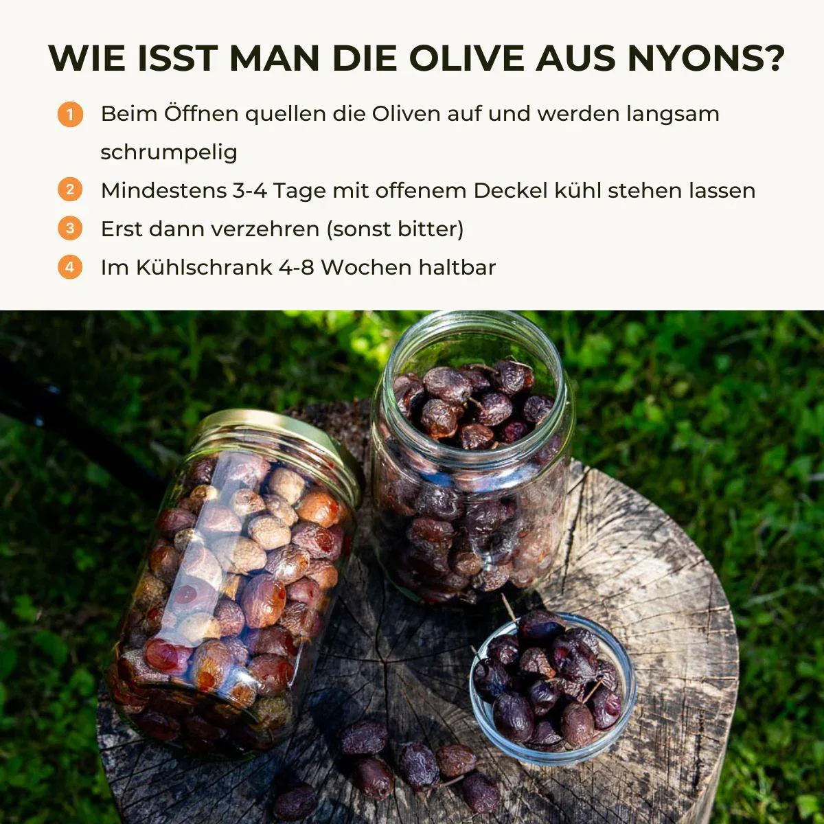 Vorschaubild 7