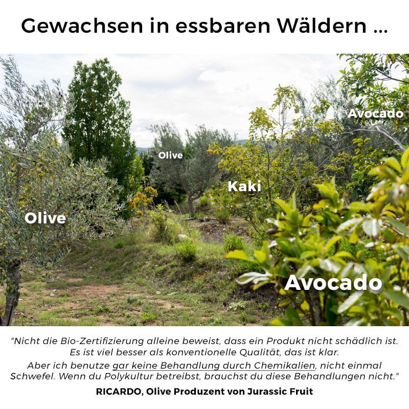Vorschaubild 4