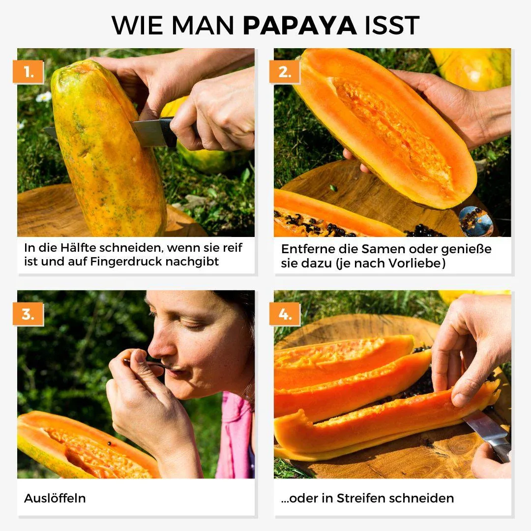Vorschaubild 5
