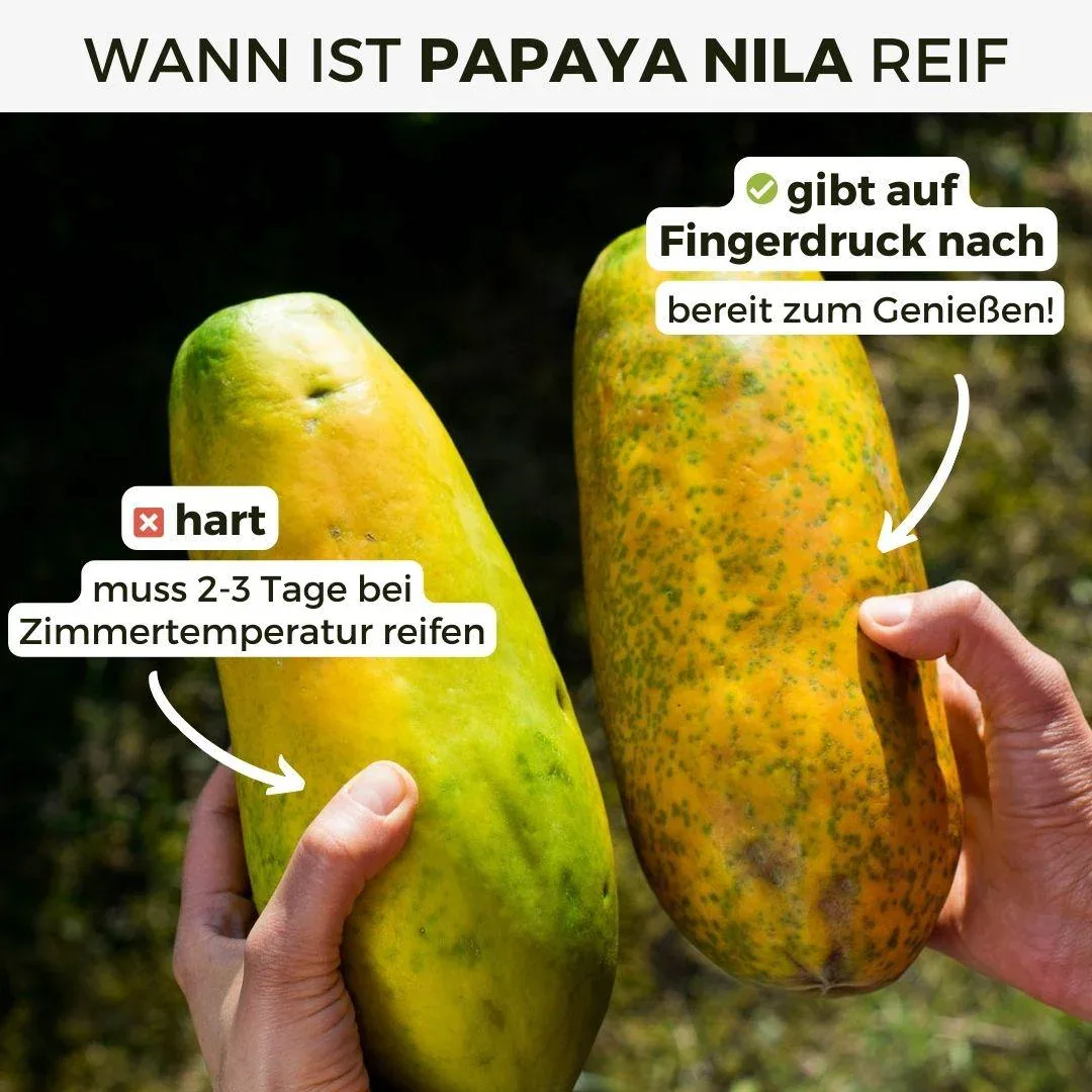 Vorschaubild 5