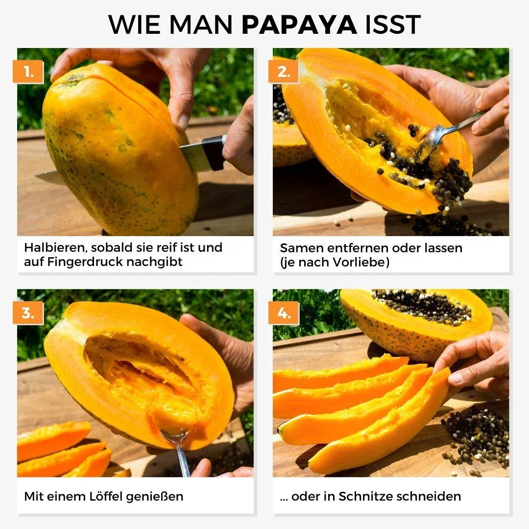 Vorschaubild 3