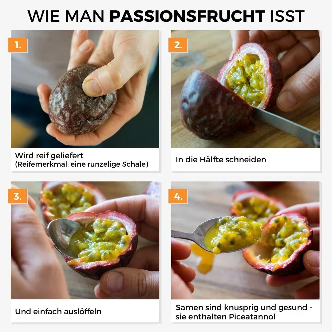 Vorschaubild 3