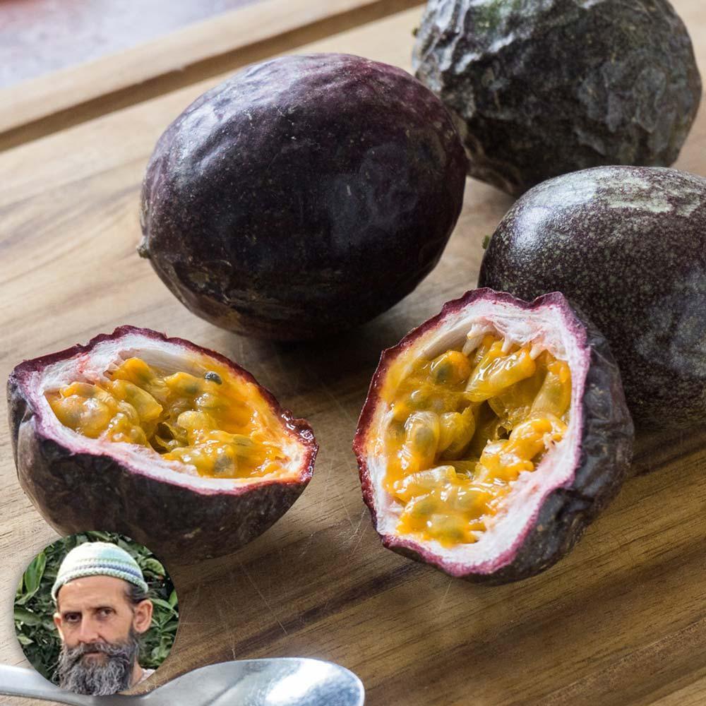 Vorschaubild 5