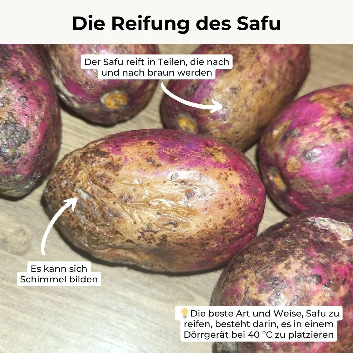 Vorschaubild 11