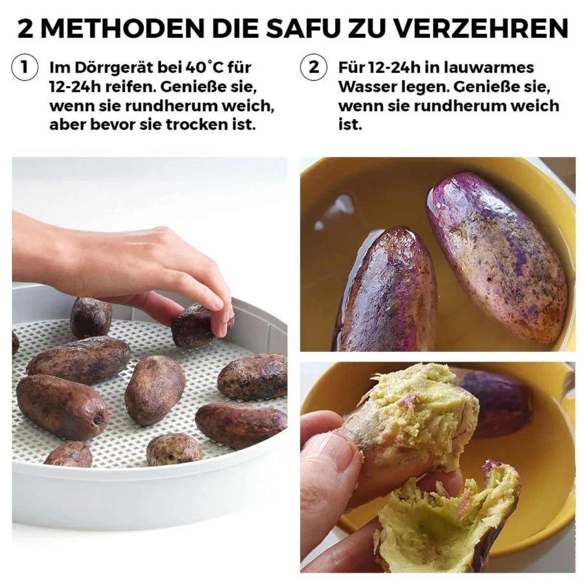Vorschaubild 12