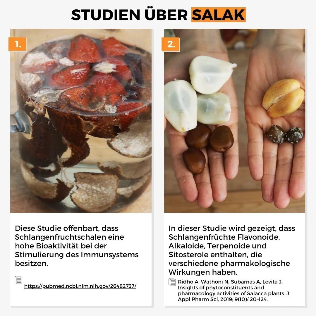 Vorschaubild 13