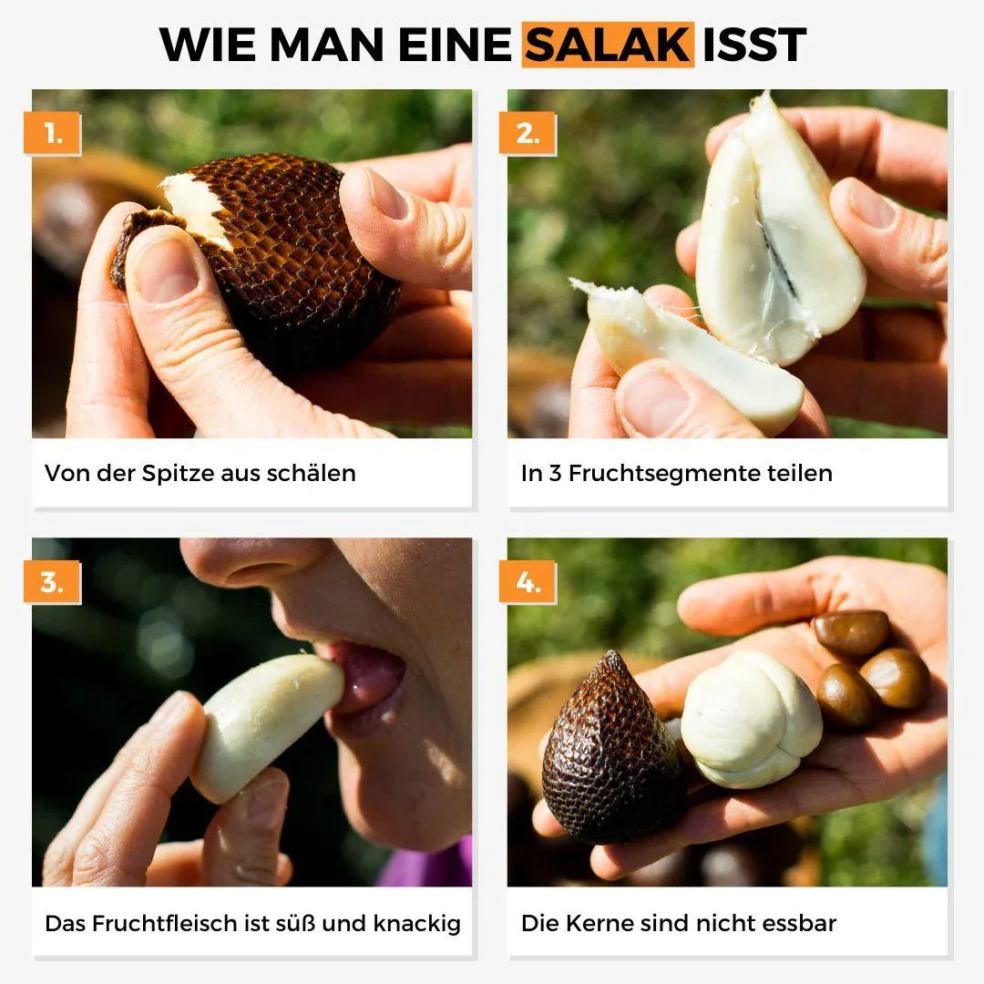 Vorschaubild 9