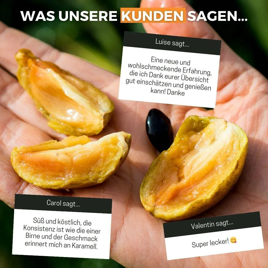 Vorschaubild 6