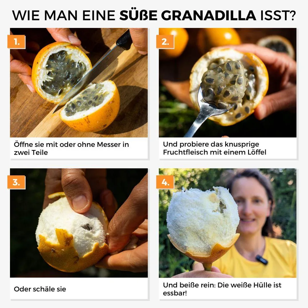 Vorschaubild 6