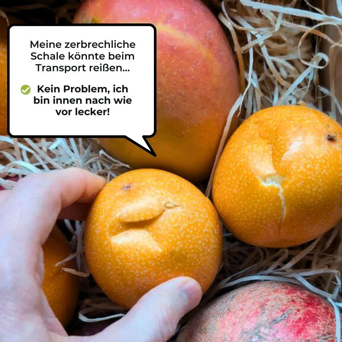 Vorschaubild 7