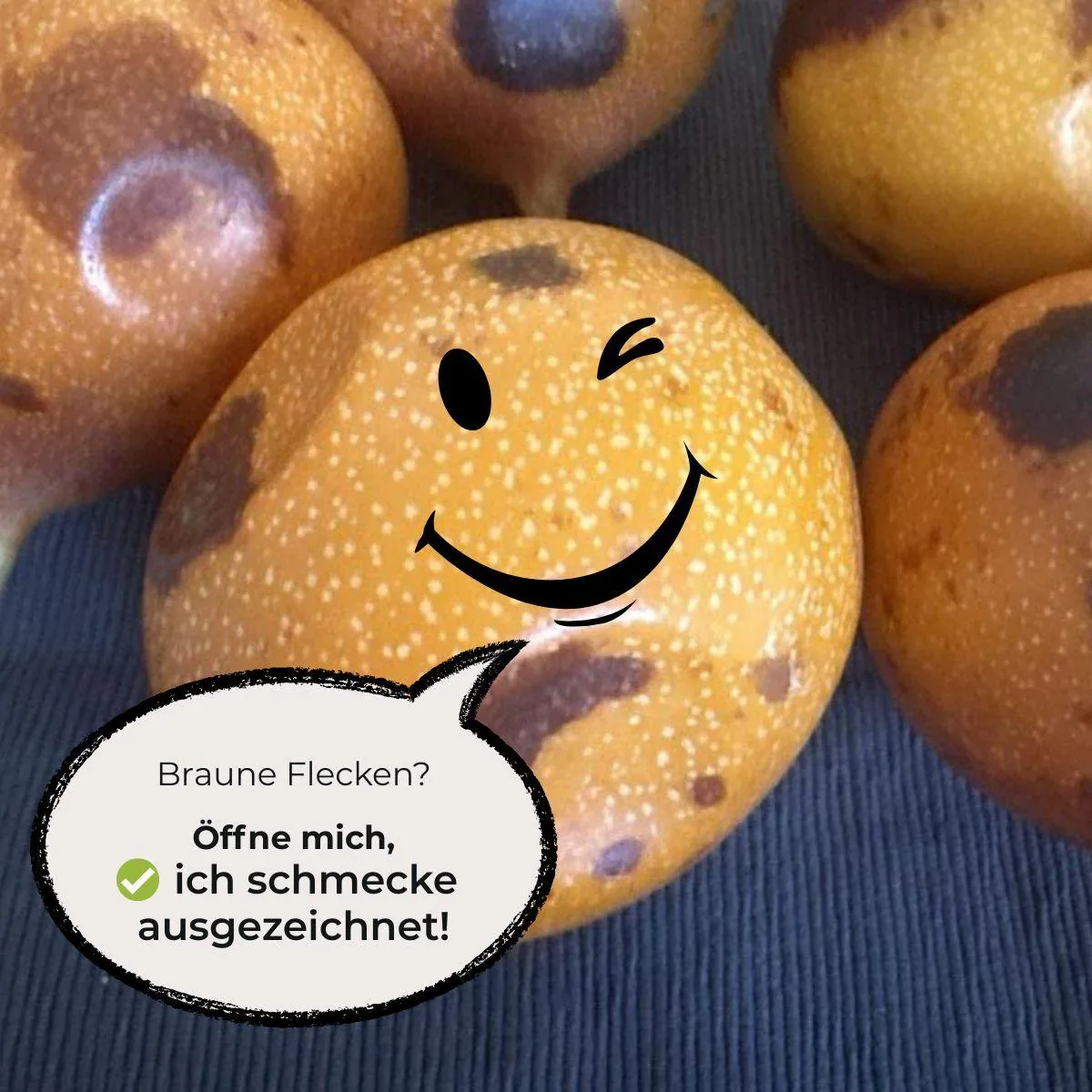 Vorschaubild 8